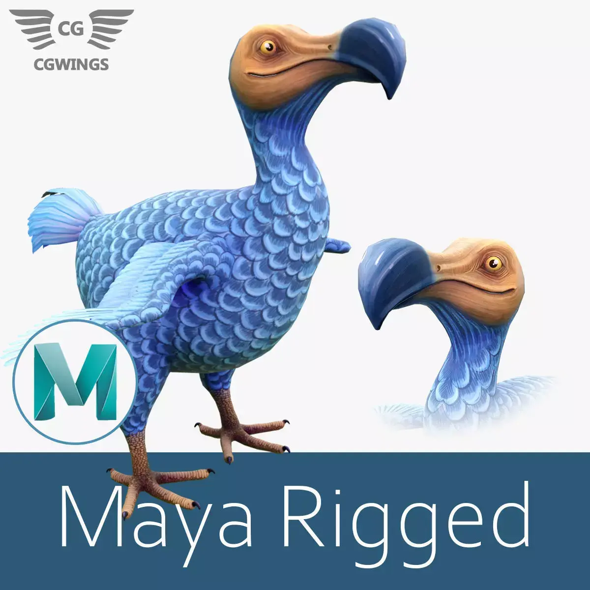 Dodo bird Low-poly 3D model
