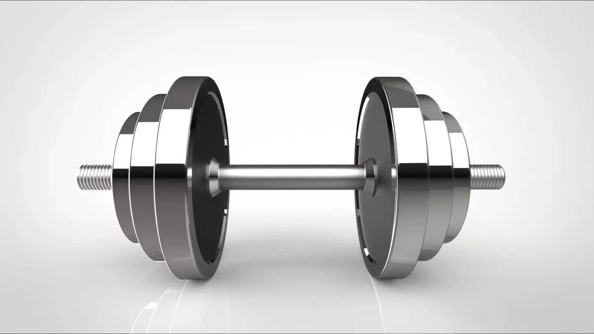 dumbbell pair of dumbbells 3D model 4