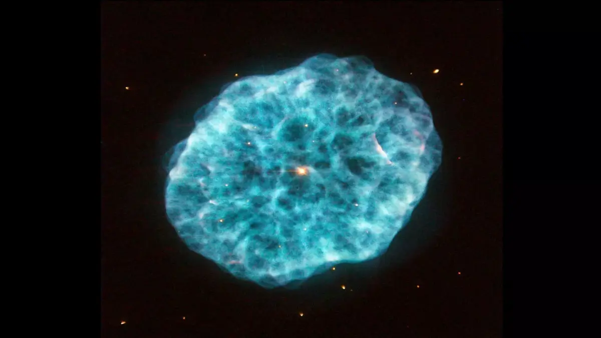 Oyster Nebula 3D model