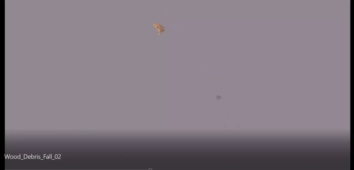 Wood Debris Fall 02 Low-poly 3D model