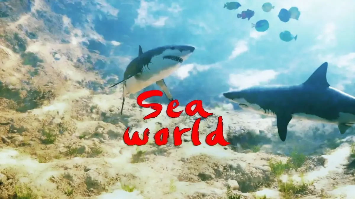 Seaworld two sharks swimming in sea world Low-poly 3D model