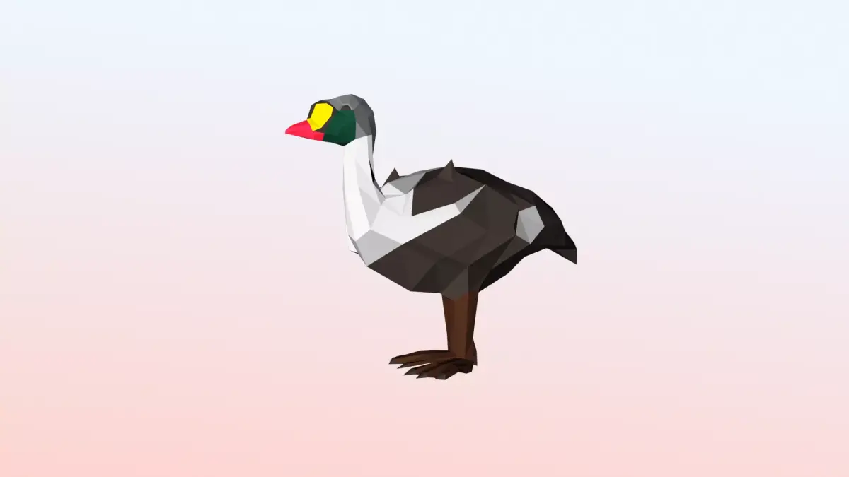 King eider Low Polygon Animal Arctic sea ocean Low-poly 3D model Low-poly 3D model