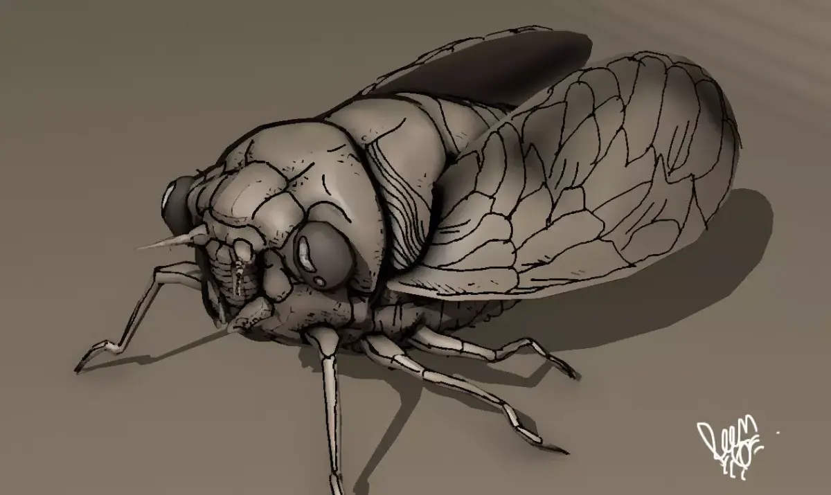grease pencil cicada bug 3D model