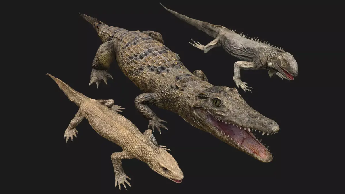 Reptile Crocodile Varan Iguana Low-poly 3D model
