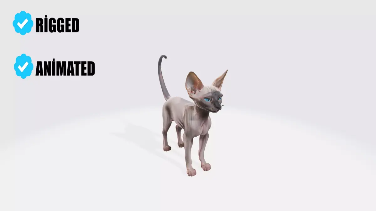 Sphynx Cat Model Animated and Rigged 3D model