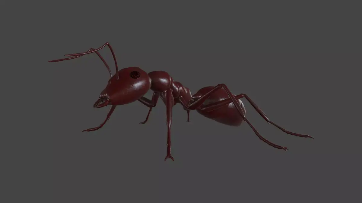 ANTS-003 Rigged Red Ant Low-poly 3D model