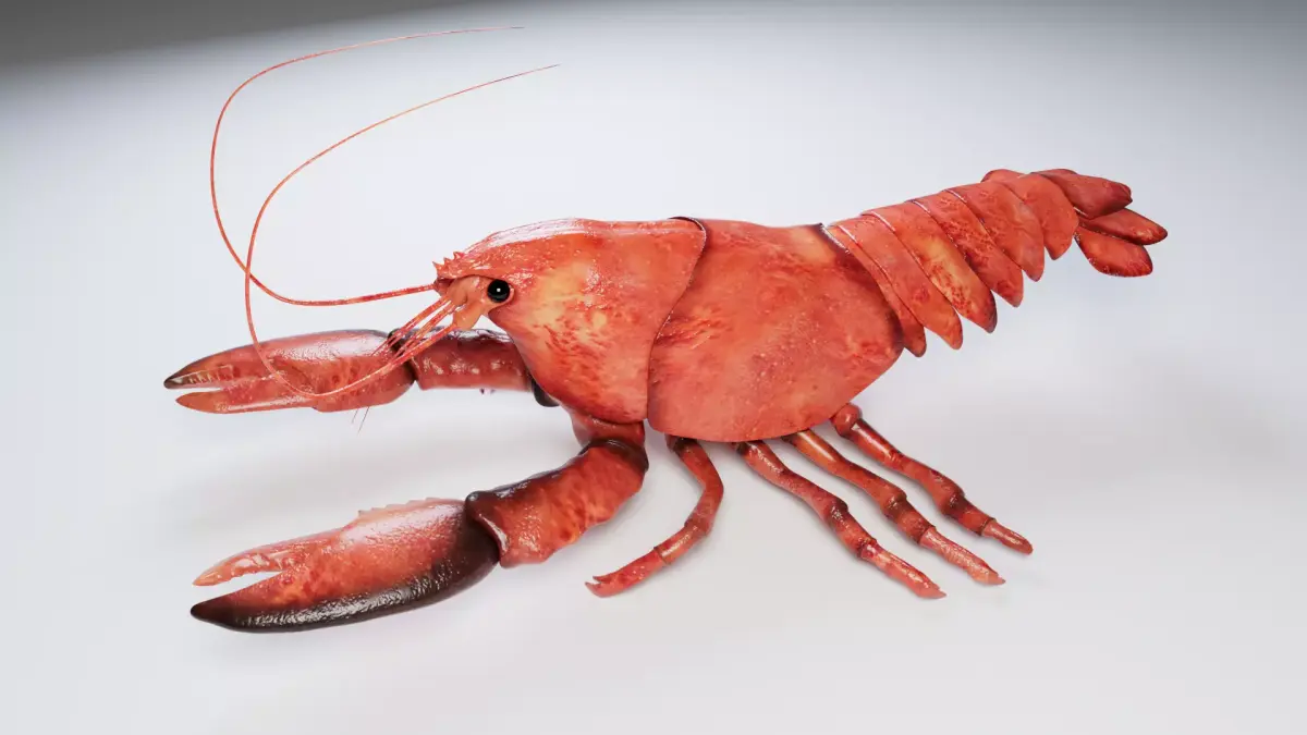 Lobster 3D model purchase