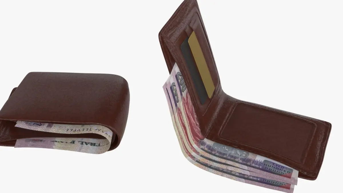 Egypt 200 Pounds Wallet Money Purse 3D model