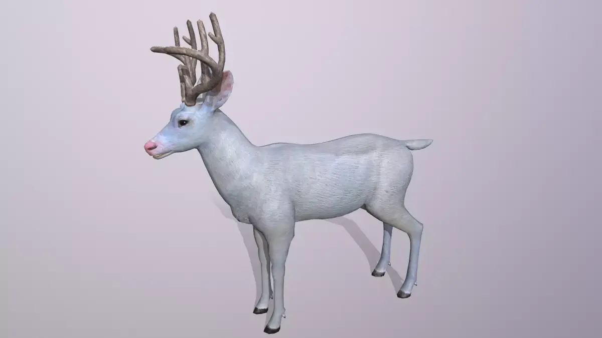 White deer Low-poly 3D model