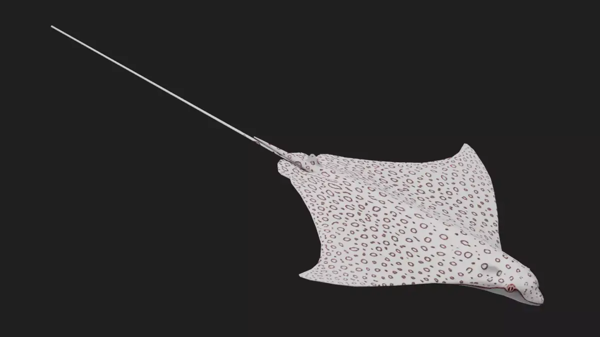Devilfish Low-poly 3D model buy