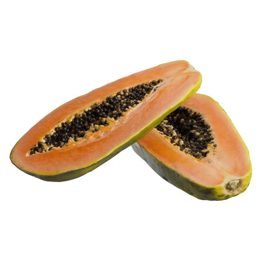  Halved Papaya Models 