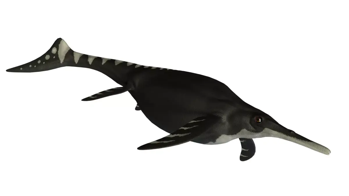 Shonisaurus Asset Pack Low-poly 3D model