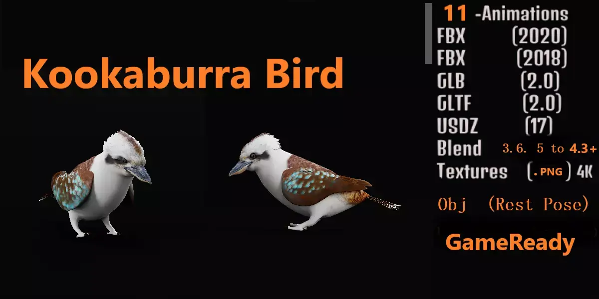 Kookaburra Bird Low-poly 3D model