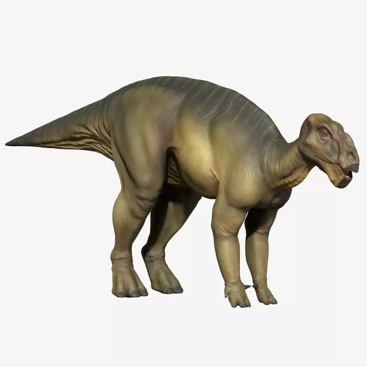 Iguanodon dinosaur Low-poly 3D model purchase