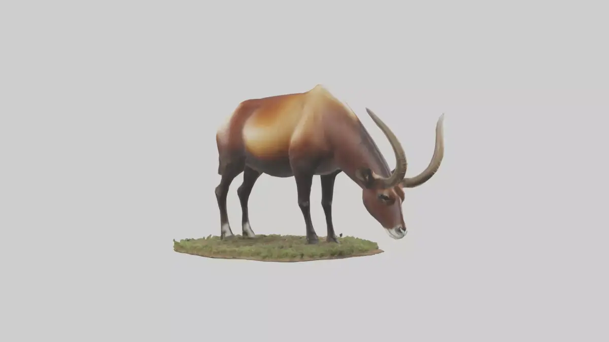 Sable Antelope grazing model Low-poly 3D model