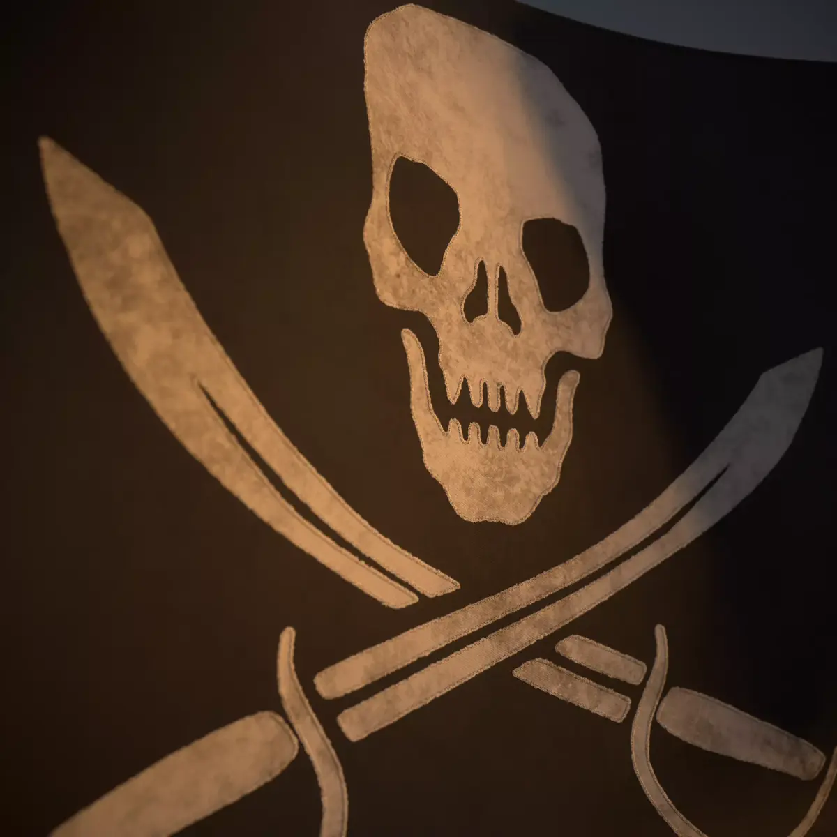 Animated Pirate Black Flag Low-poly 3D model