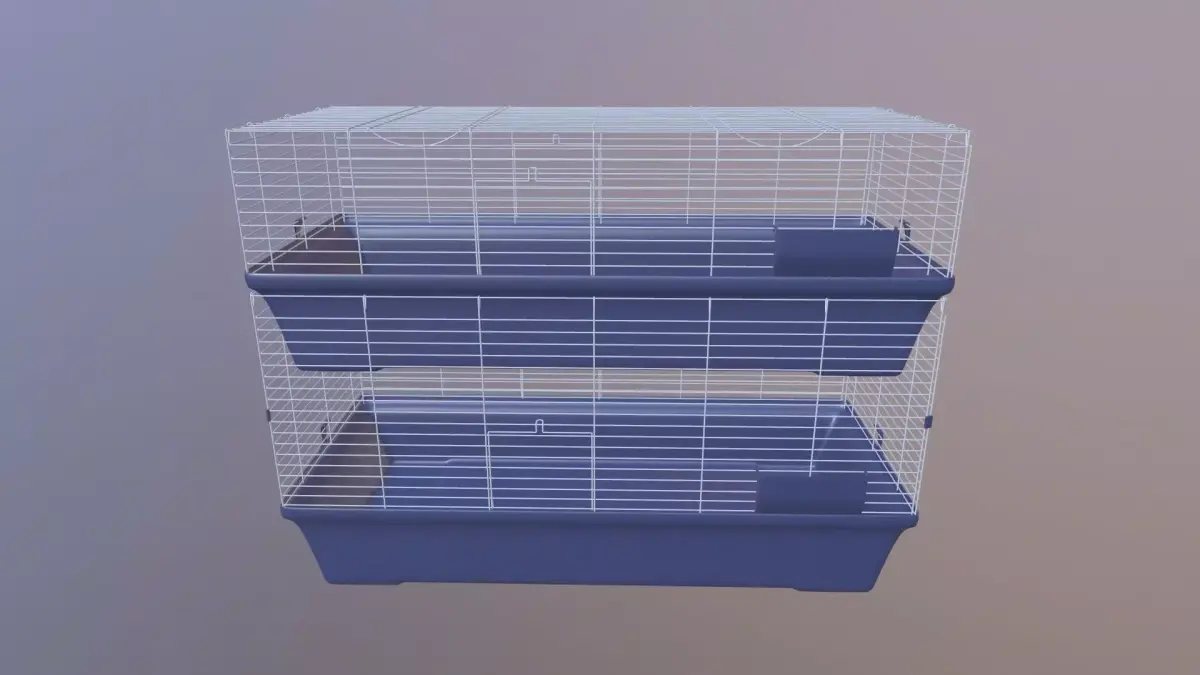 Birds Cage 3D model