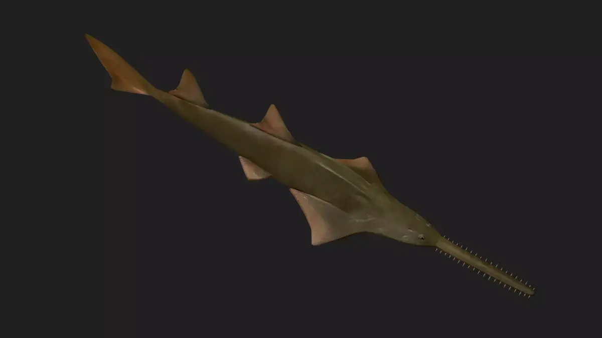 Ray fish Low-poly 3D model purchase