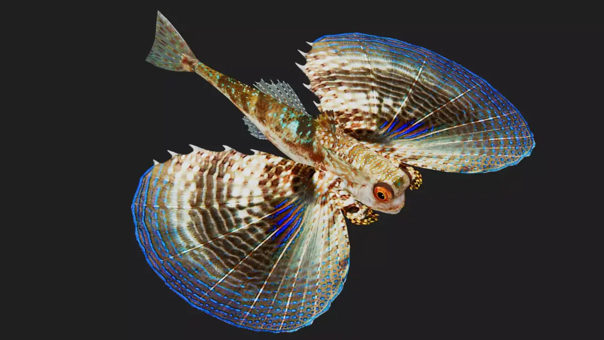 Gurnard Low-poly 3D model