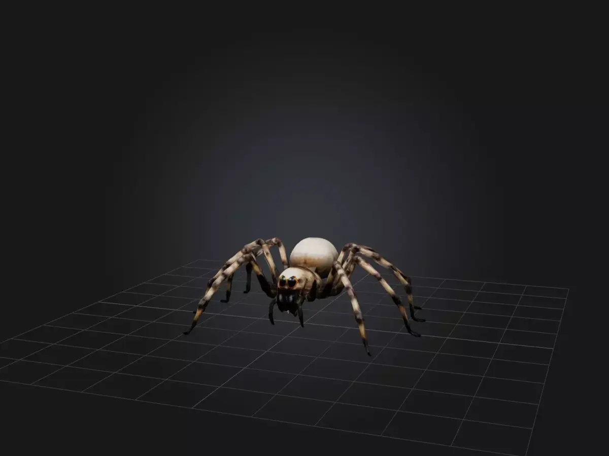 Giant Spider Low-poly 3D model