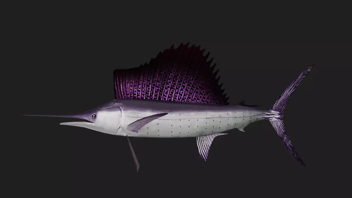 Sailfish Low-poly 3D model purchase