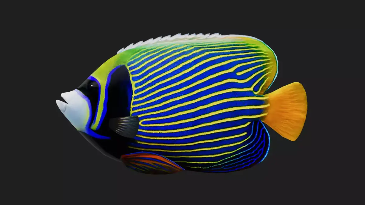 Angelfish Low-poly 3D model purchase