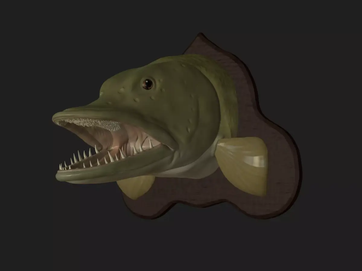 PIKE HEAD DETAILED TEXTURE TROPHY TAXIDERMY FOR 3D PRINTING Free 3D print model