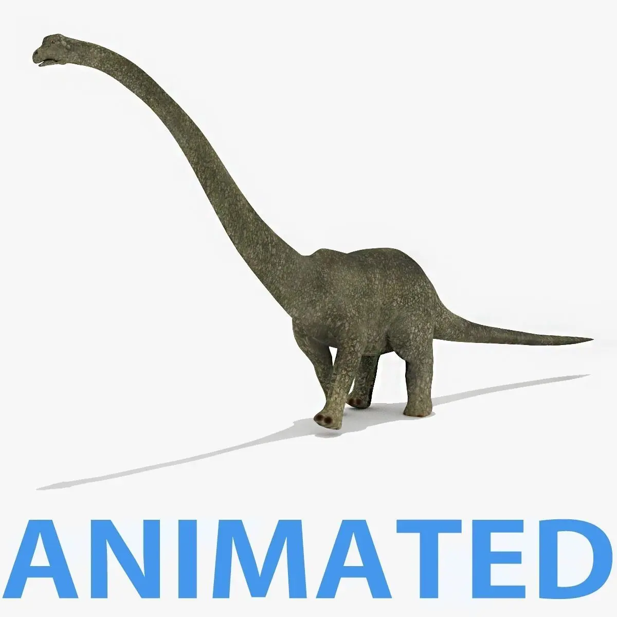 Diplodacus Dinosaur -Animated  Low-poly 3D model