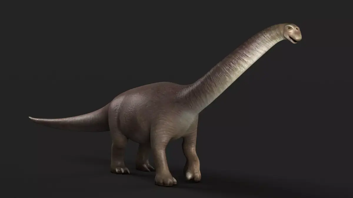 reptile cretaceous jurassic park trex rex dinosaur  3D model