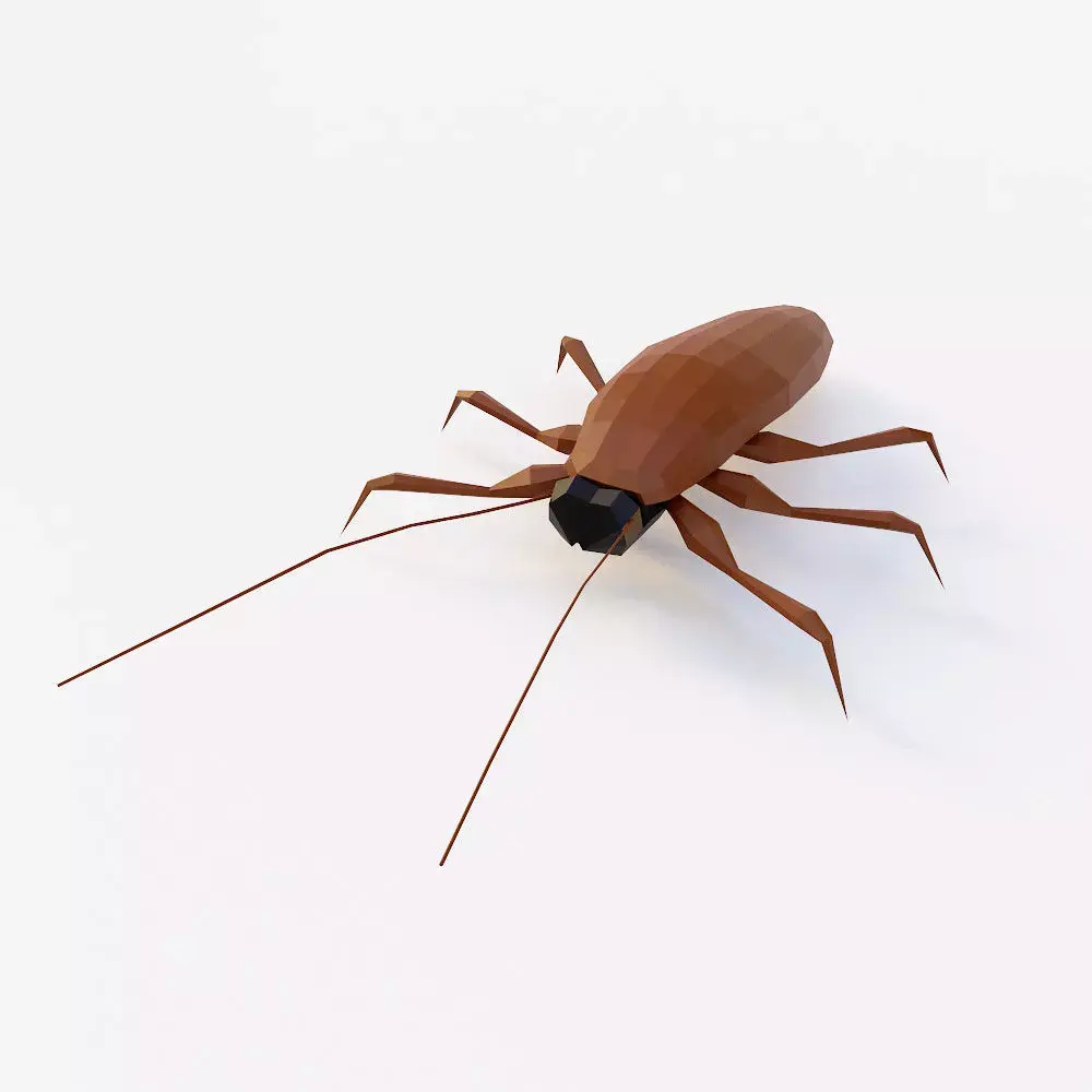 Cockroach 3d model Low-poly 3D model