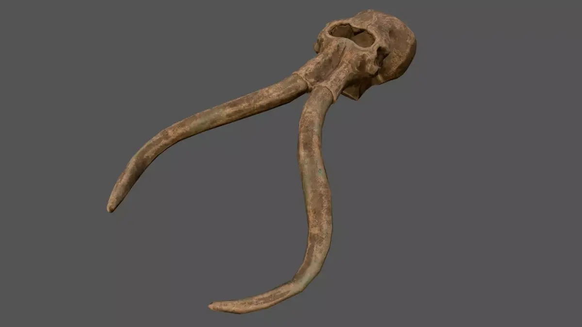 Mammoth Skull Low-poly 3D model purchase