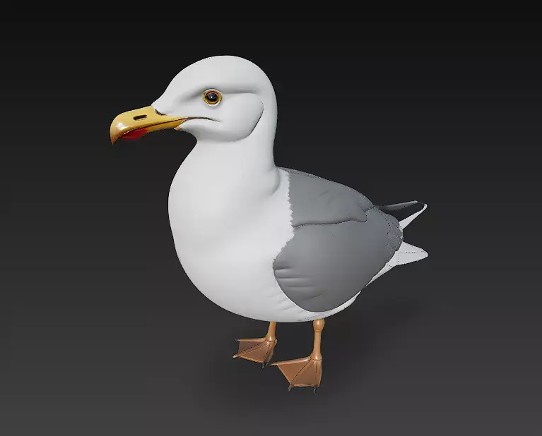 Seagull Realistic 3D Model Basic - Low Poly Realistic Low-poly 3D model