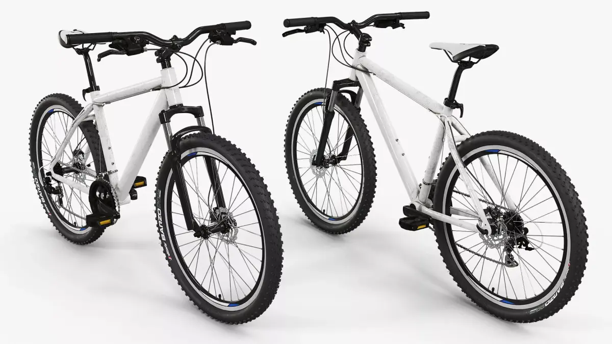 Sport Mountain Bike Hardtail Vittoria Barzo Tires Gray 3D model