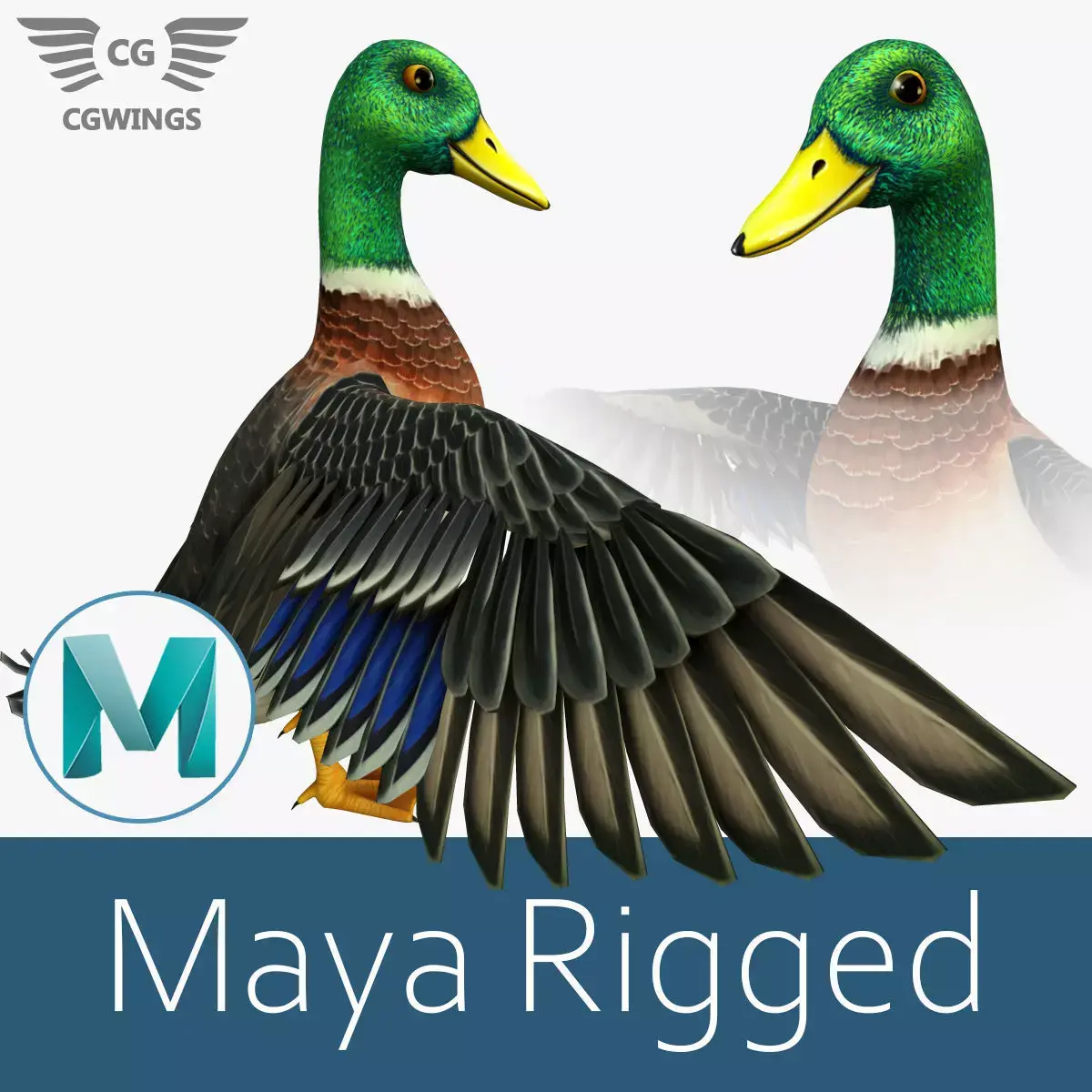 Mallard Duck Low-poly 3D model