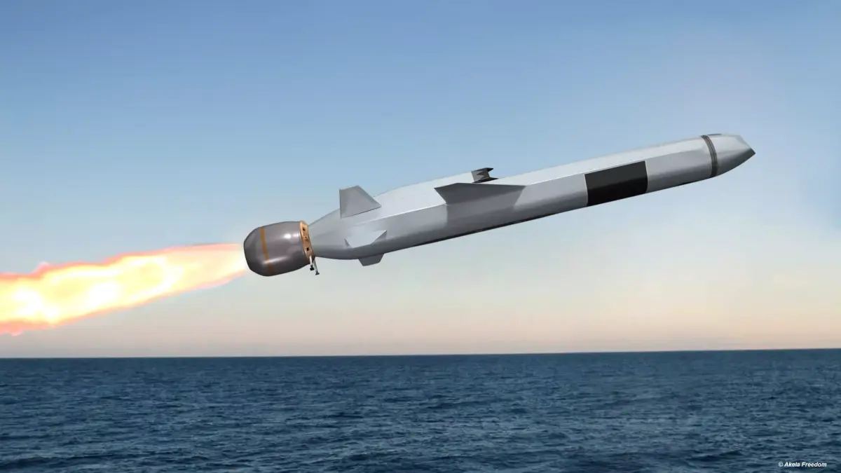 Naval Strike Missile 3D model