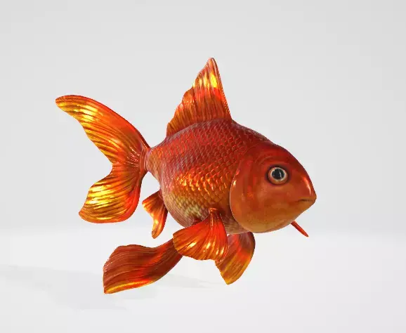 Goldfish 3D model shop