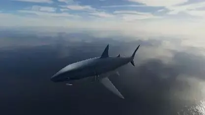 Shark great in sky 3D model