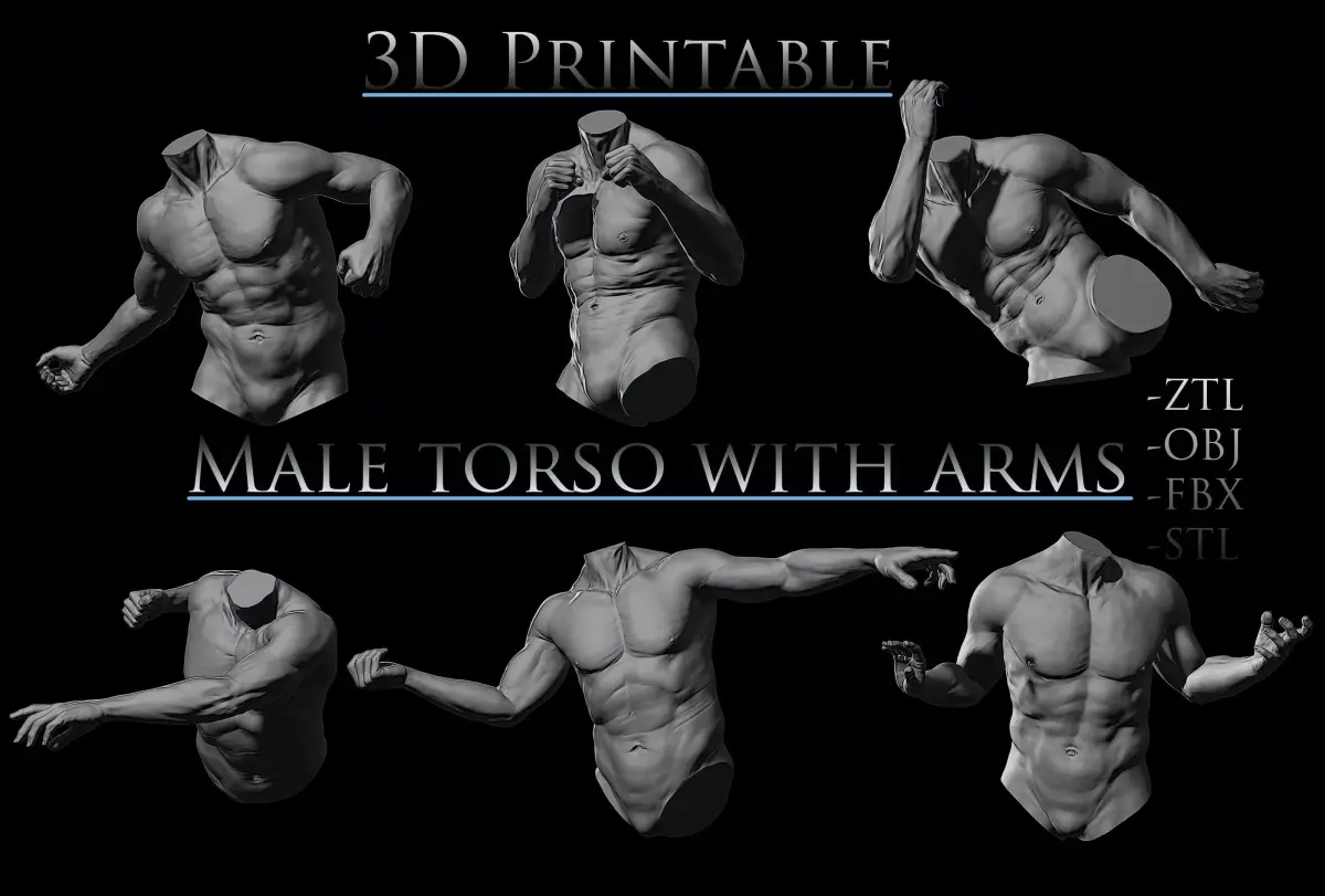 3D Printable Male Torso with Arms 3D model purchase