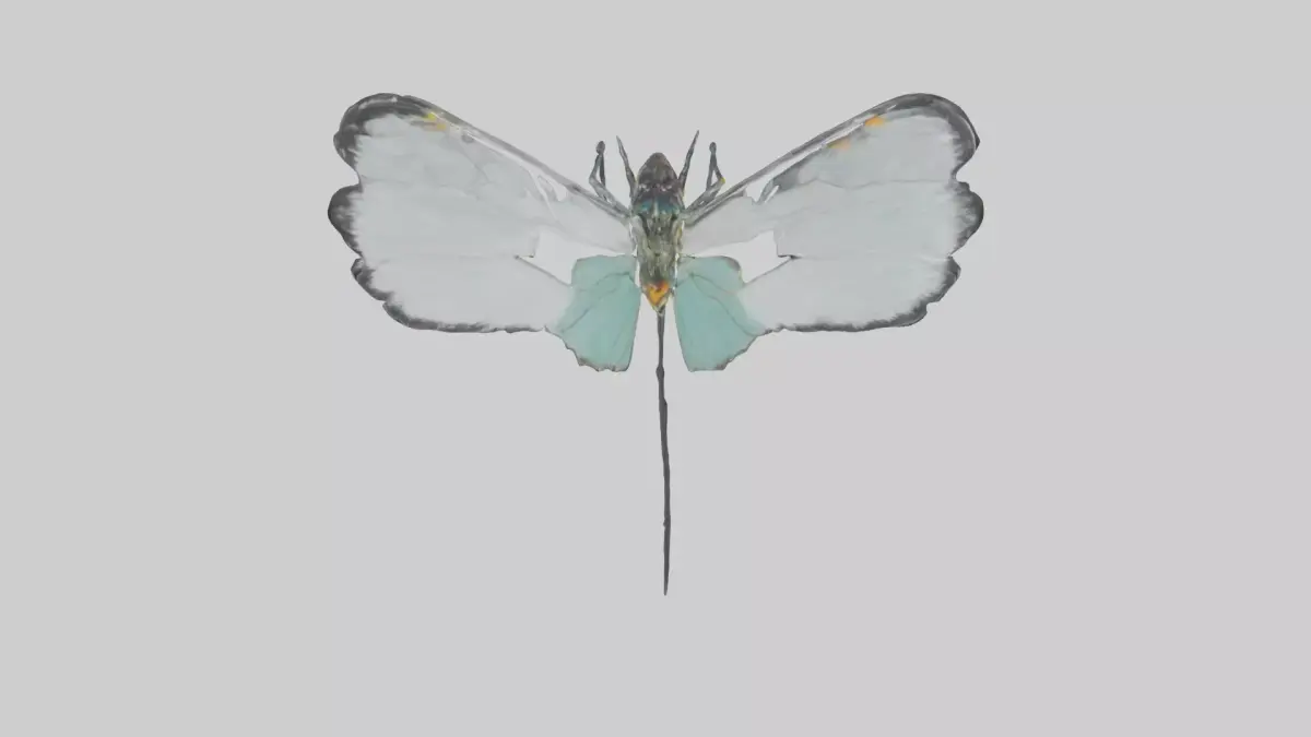 Glasswing Butterfly feeding model Low-poly 3D model