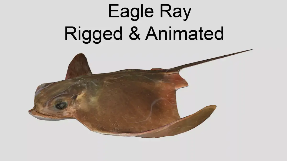 Eagle Ray Realistic Animated Low-poly 3D model