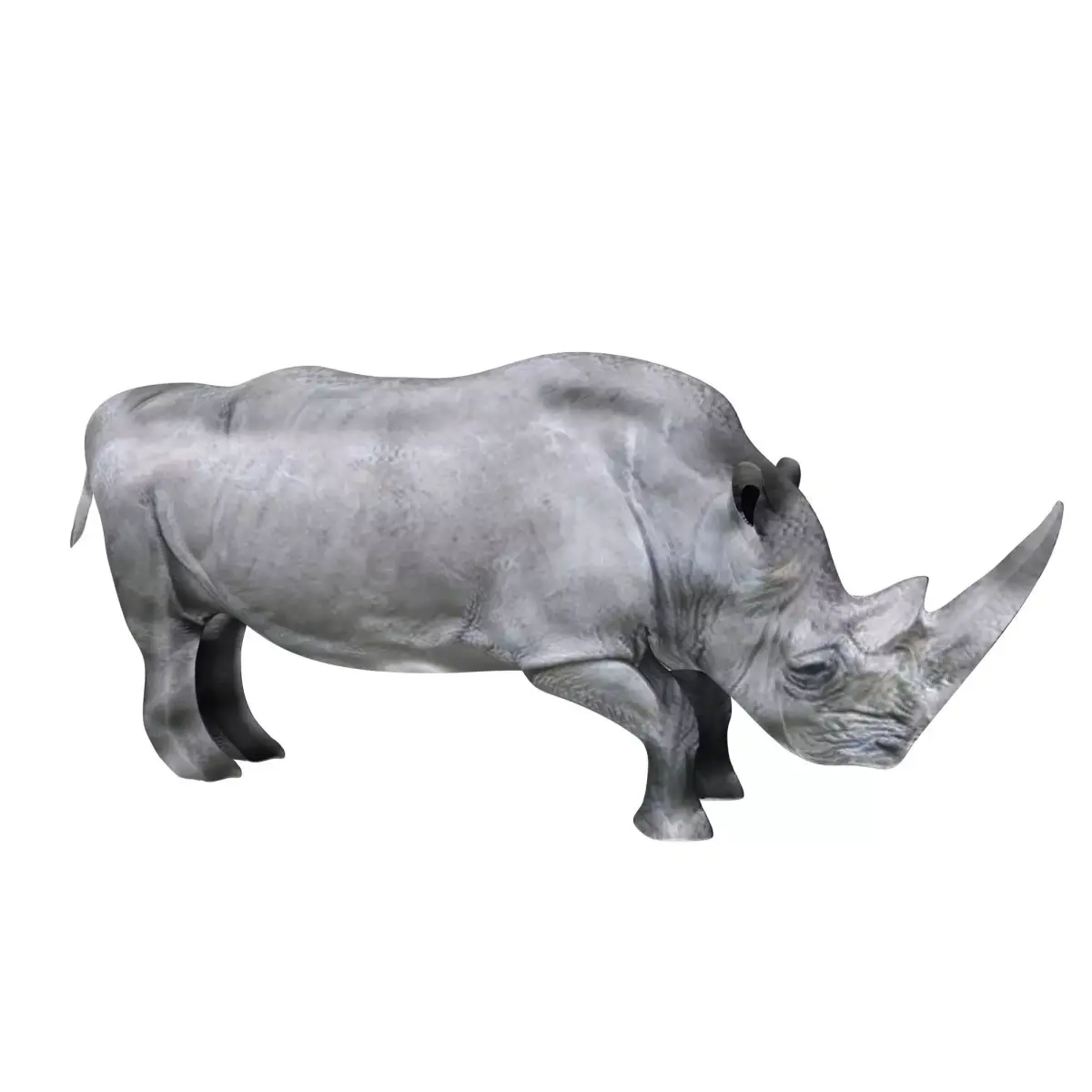 Rhino  with texture 3d 3D model
