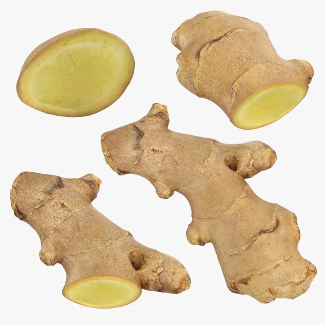 Ginger Slices Collection 3D model