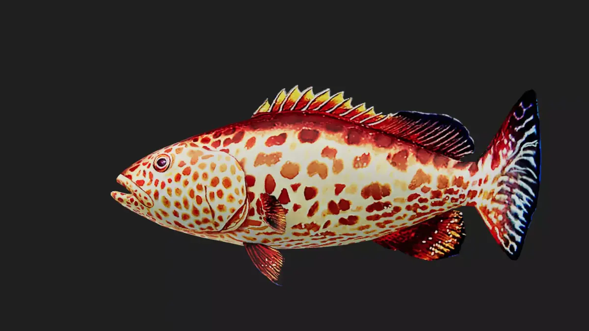 Grouper Low-poly 3D model order