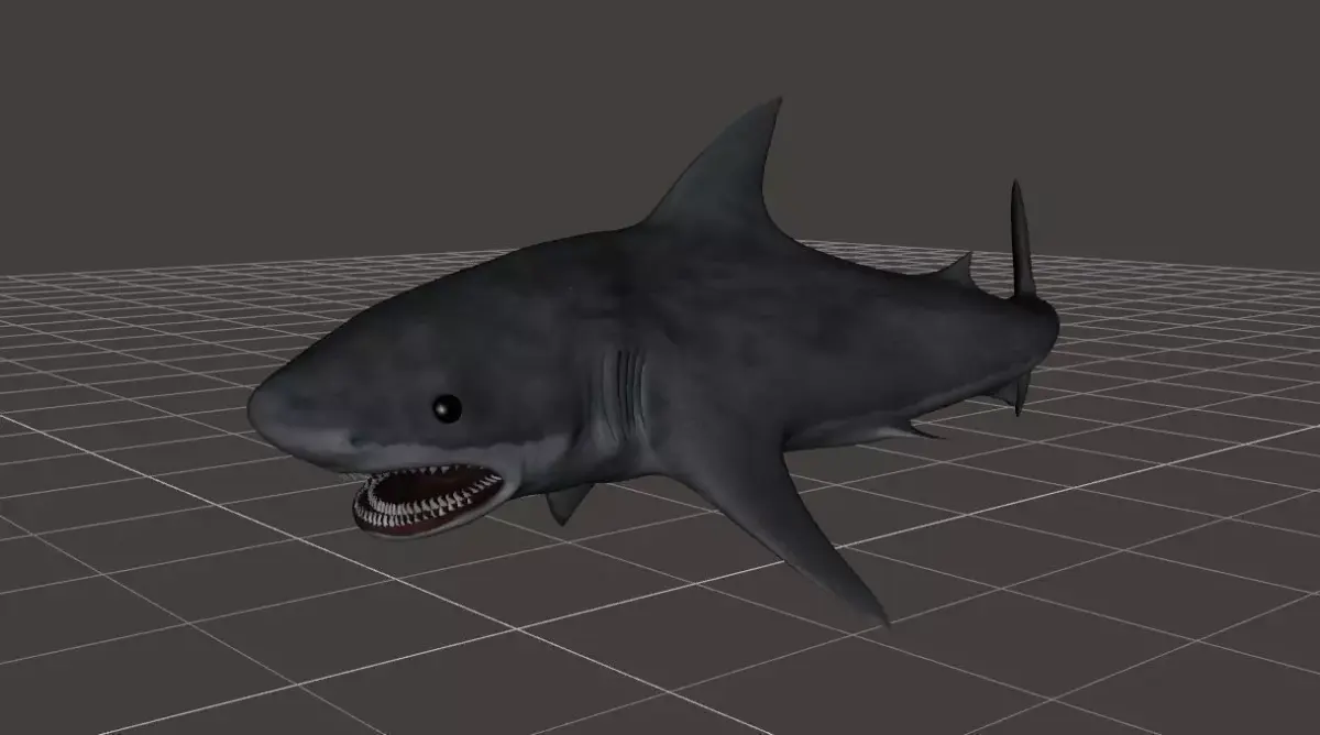 Great White Shark rigged 1 3D model