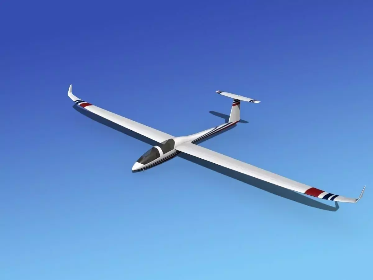 DG-1000 Glider V09 3D model