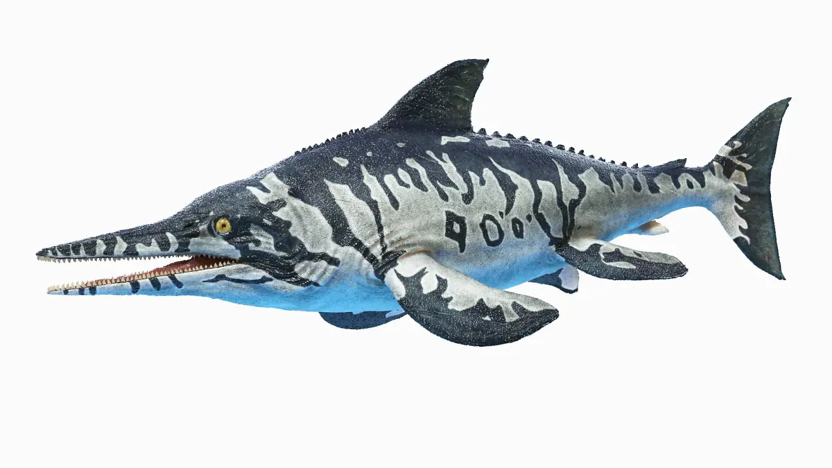 Ichthyosaur Animated 3D model