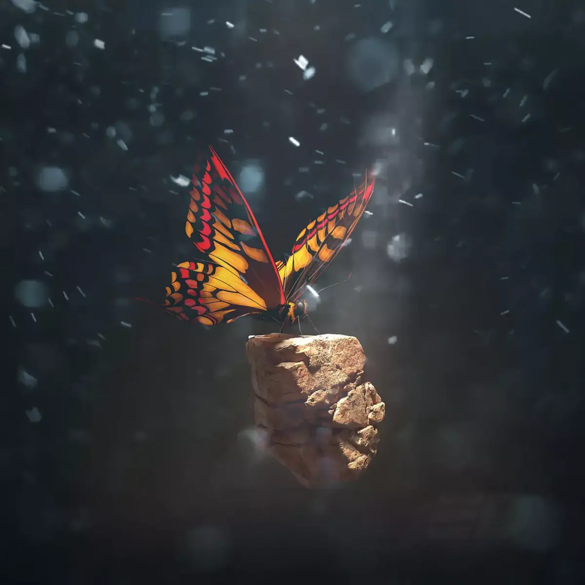 Butterfly on rock 3D model
