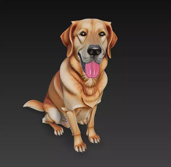 Golden Retriever Dog Realistic 3D Model - Low Poly Realistic Low-poly 3D model