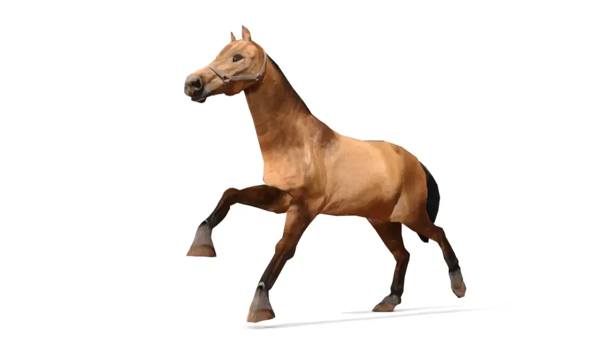 Horse 3D Model galloping Low-poly 3D model