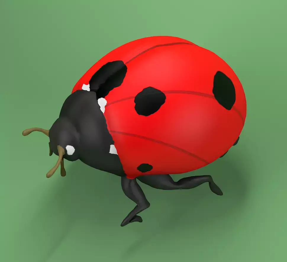 Ladybug Coccinellidae LOWPOLY Low-poly 3D model